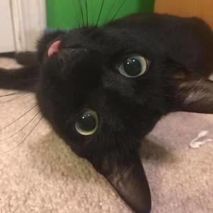 Meet your Posher, Eric